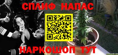 дживик Абакан