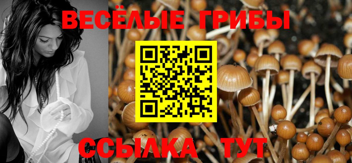 Псилоцибиновые грибы Psilocybine cubensis  Вход с VPN  Ипатово 